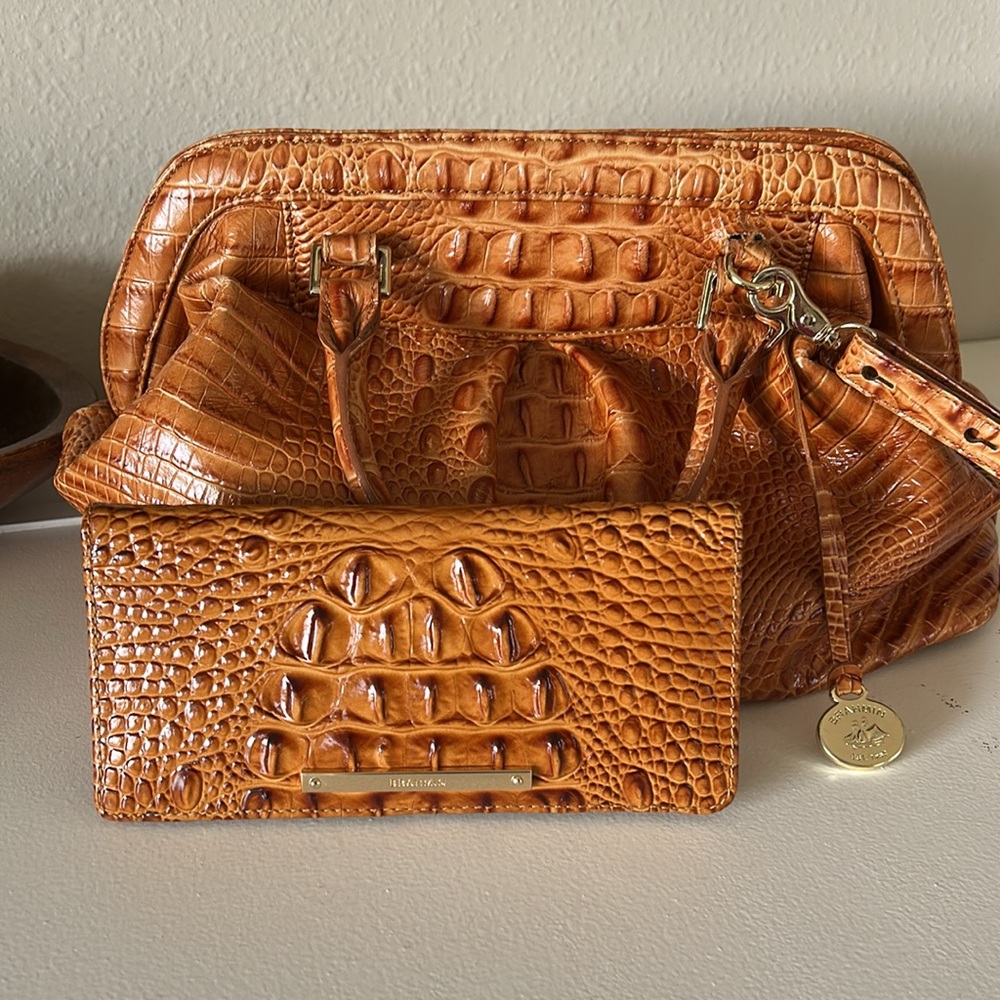 ❗️FREE❗️Bristol Satchel with Brahmin Ady Wallet